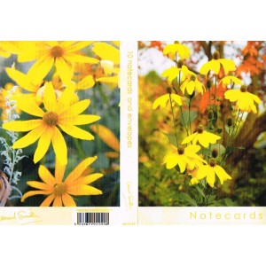 Notelets - Rudbeckia Flowers
